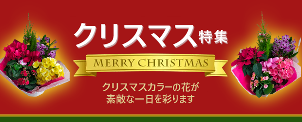 クリスマス特集